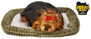 Perfect Petzzz chrapiący szczeniak York